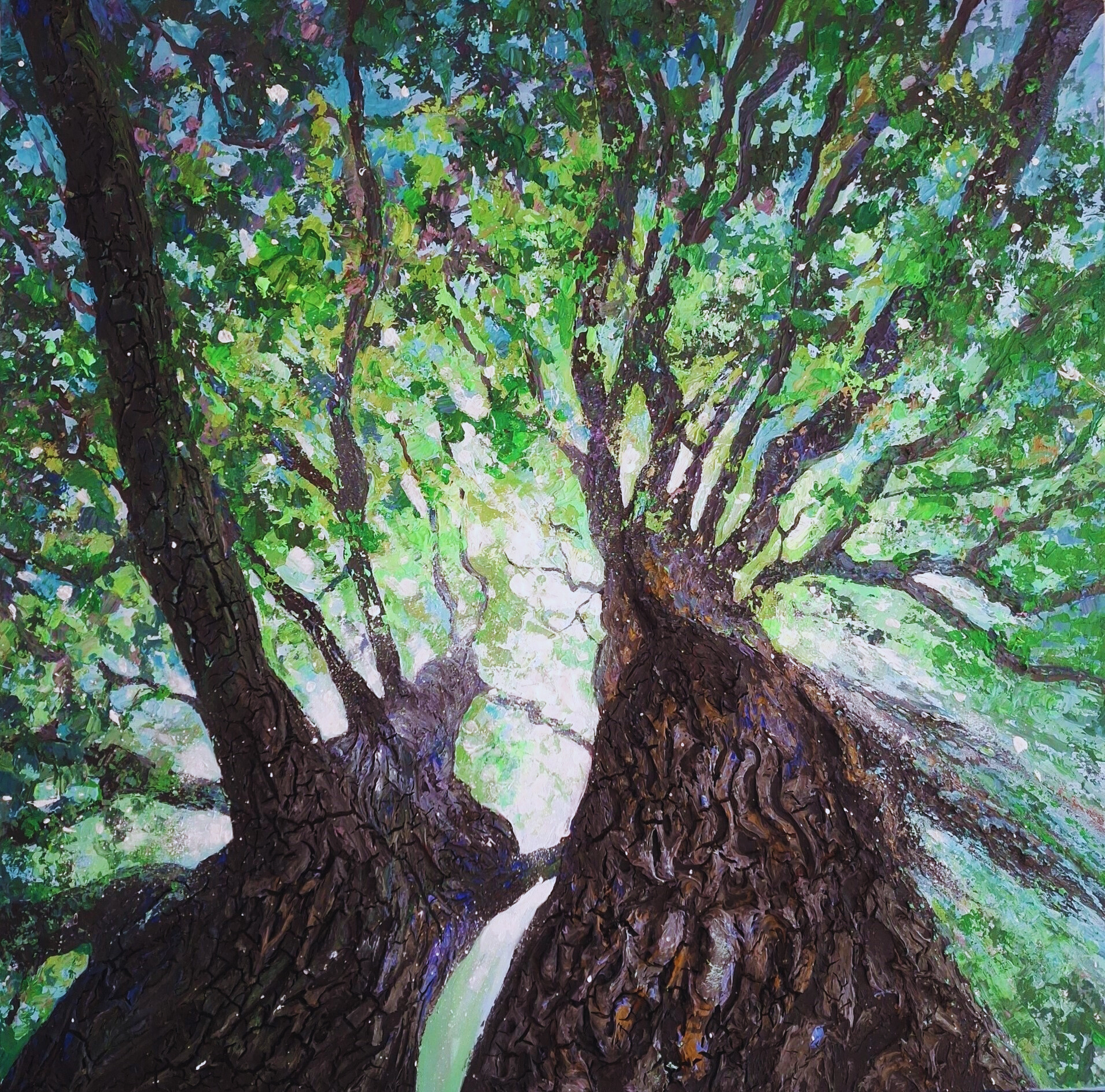 Portrait lumineux d’un chêne à deux tiges du jardin des Naissances au parc Bel-Ébat par Joss Blanchard.