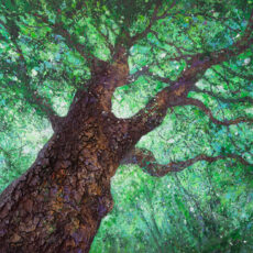 SENTINELLE VERTE – Portrait d’un platane centenaire- 130 x 89 cm
