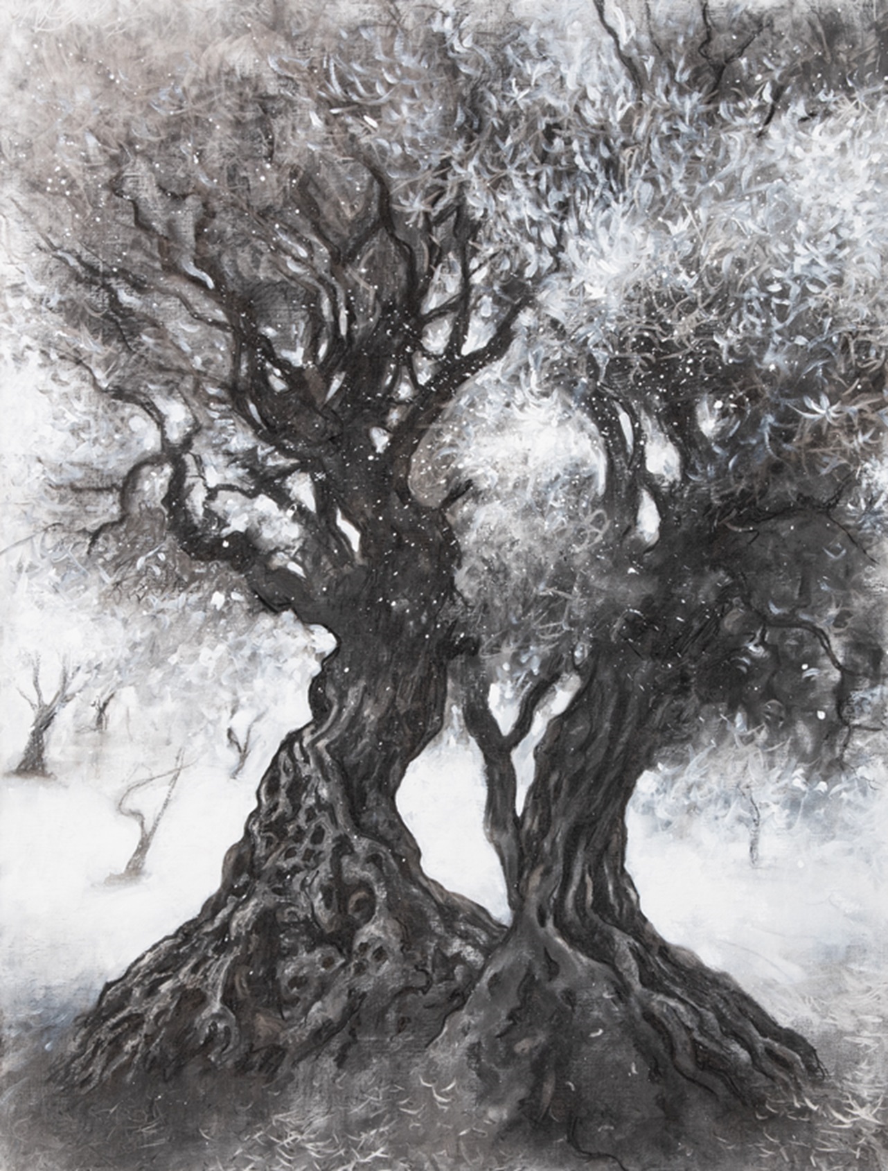 Peinture de deux oliviers centenaires entrelacés à Roquebrune-Cap-Martin, symbole de paix. Œuvre de Joss Blanchard.