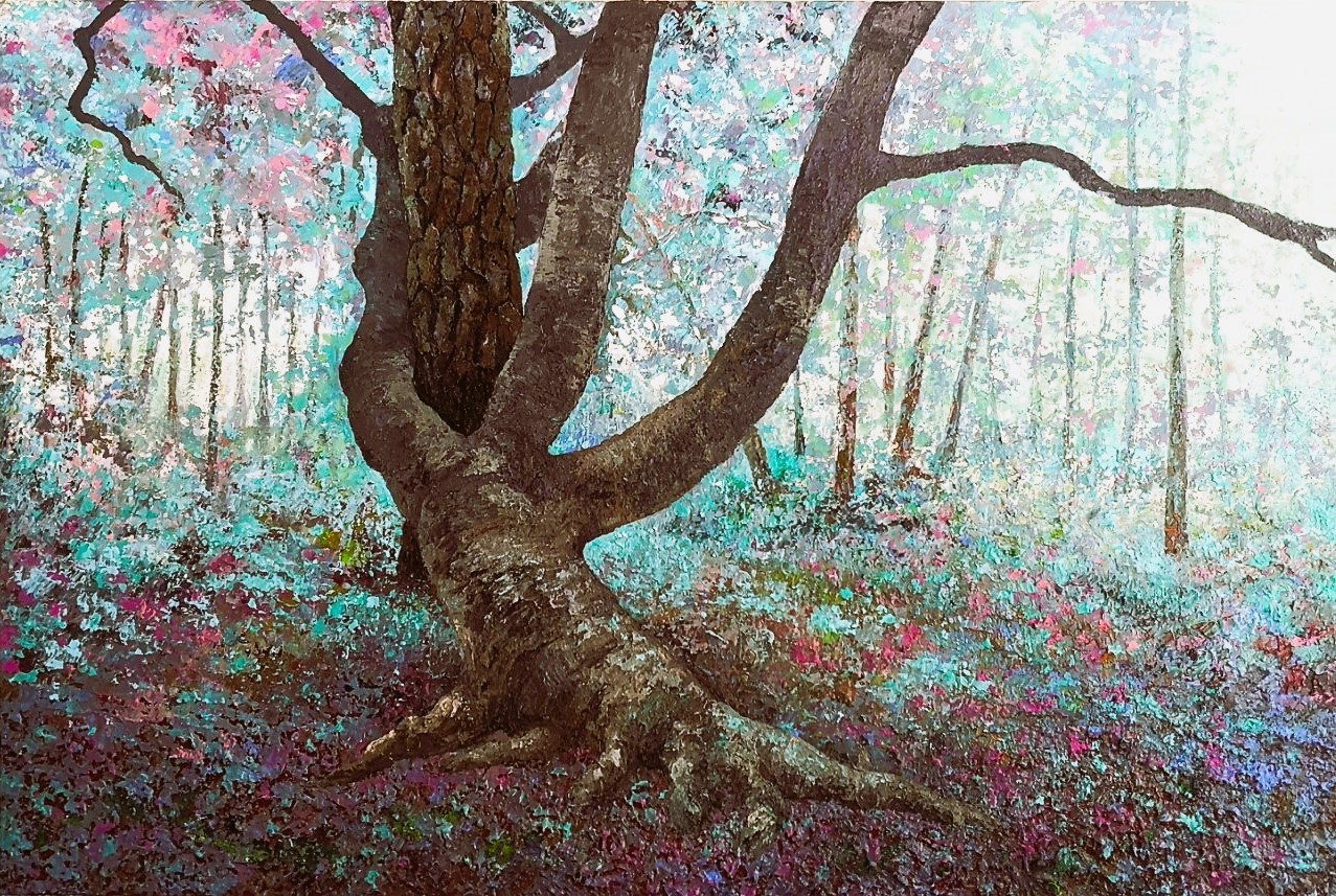 peinture-amour-impossible-hetre-pin-rocher-canon-fontainebleau-joss-blanchard.jp Peinture d’un hêtre enlacant un pin sylvestre au Rocher Canon en forêt de Fontainebleau par Joss Blanchard